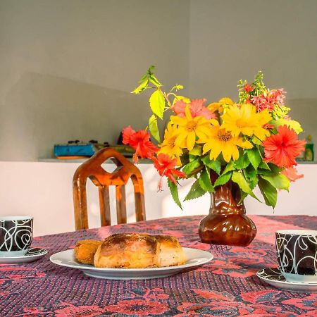 Surfing Guest House Matara Zewnętrze zdjęcie